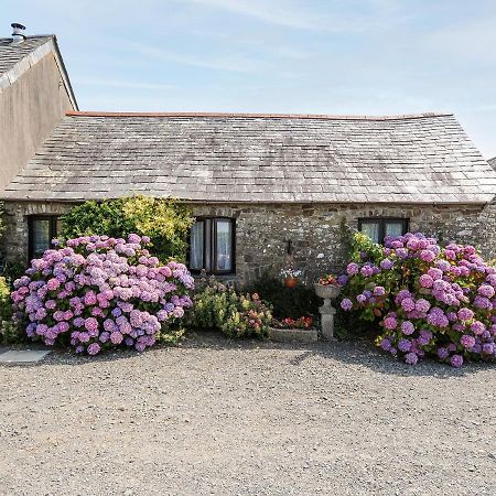 Coach House Cottage 뷰드 외부 사진